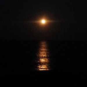 Meet your Posher, Sandy